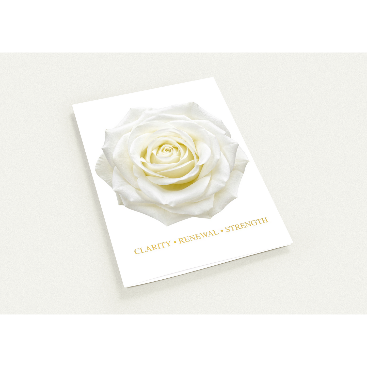 Pack of 10 white rose greeting cards with premium envelopes