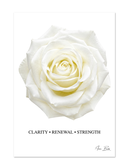 White Rose Affirmation Poster — Clarity, Renewal & Strength | 28 × 40 in