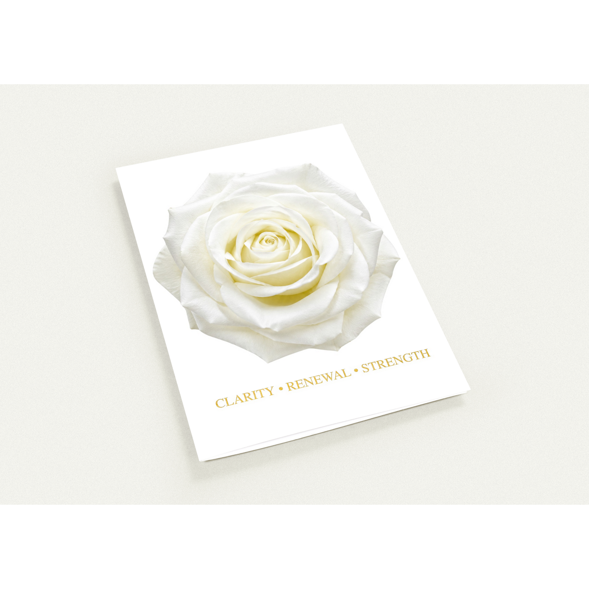 Pack of 10 white rose greeting cards with premium envelopes