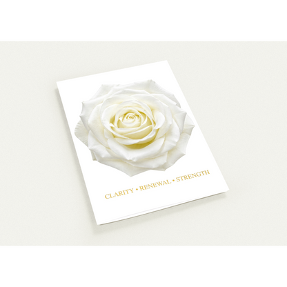 Pack of 10 white rose greeting cards with premium envelopes